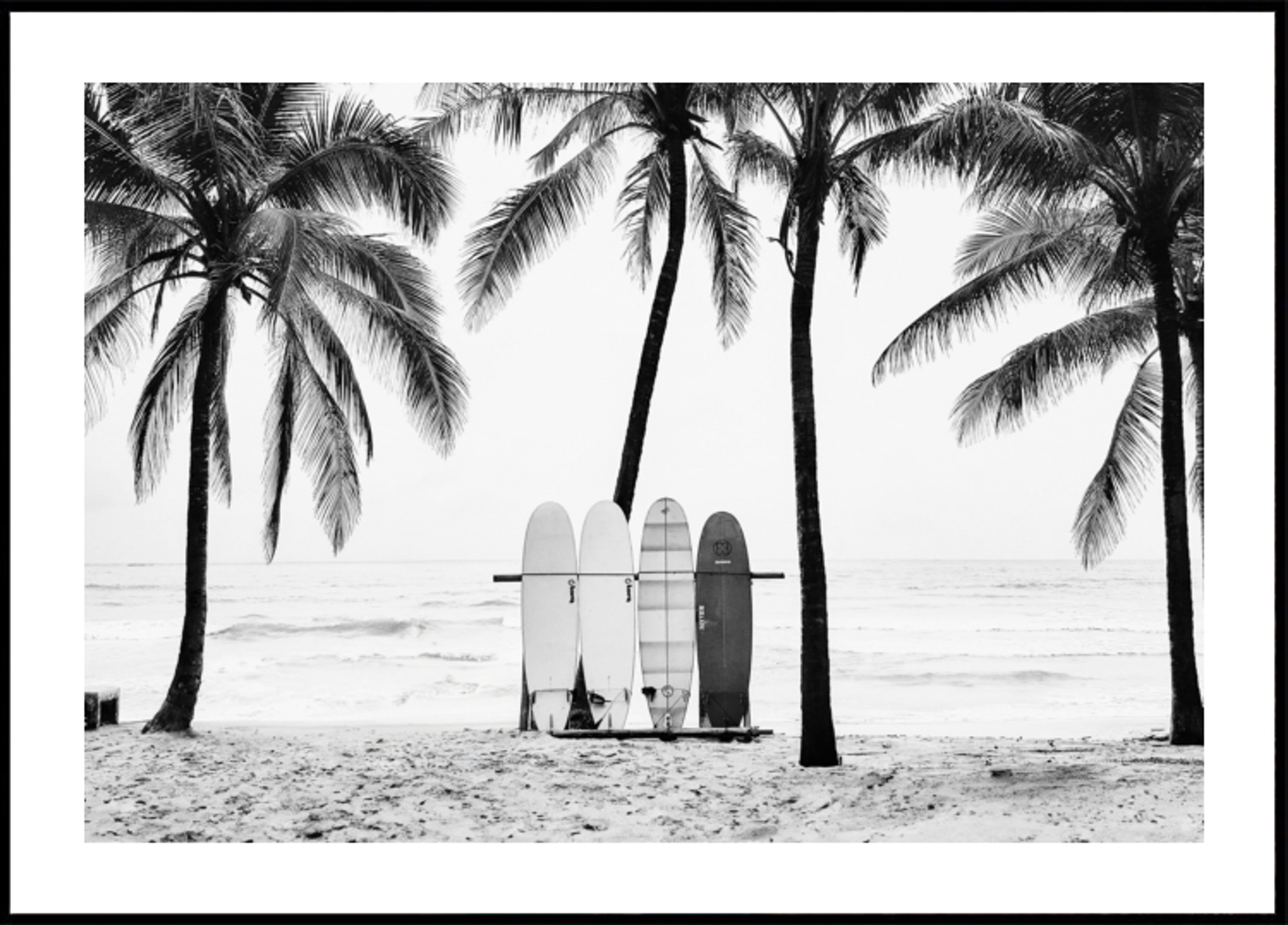 The Boards