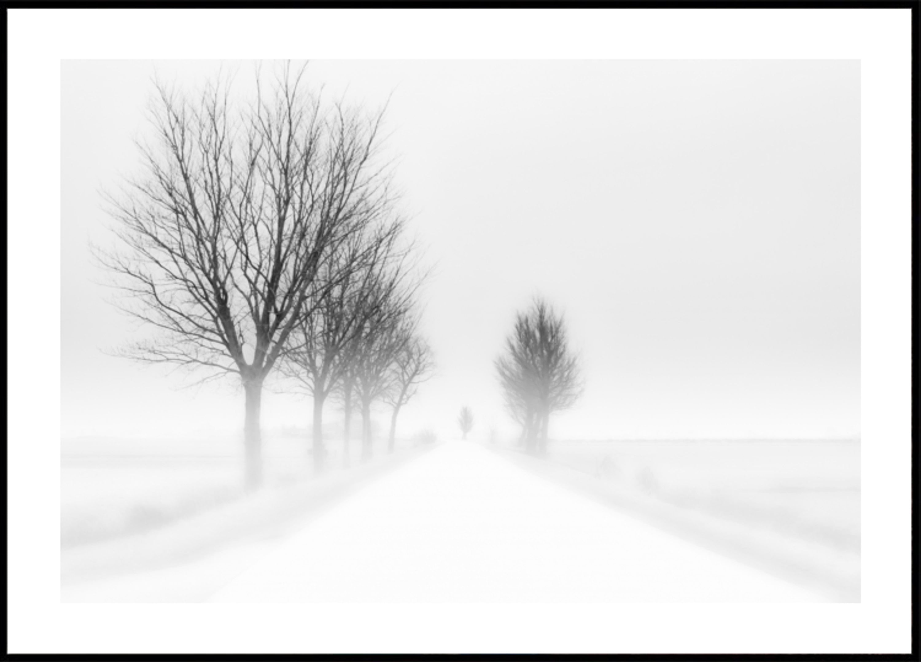 Misty Winter Road