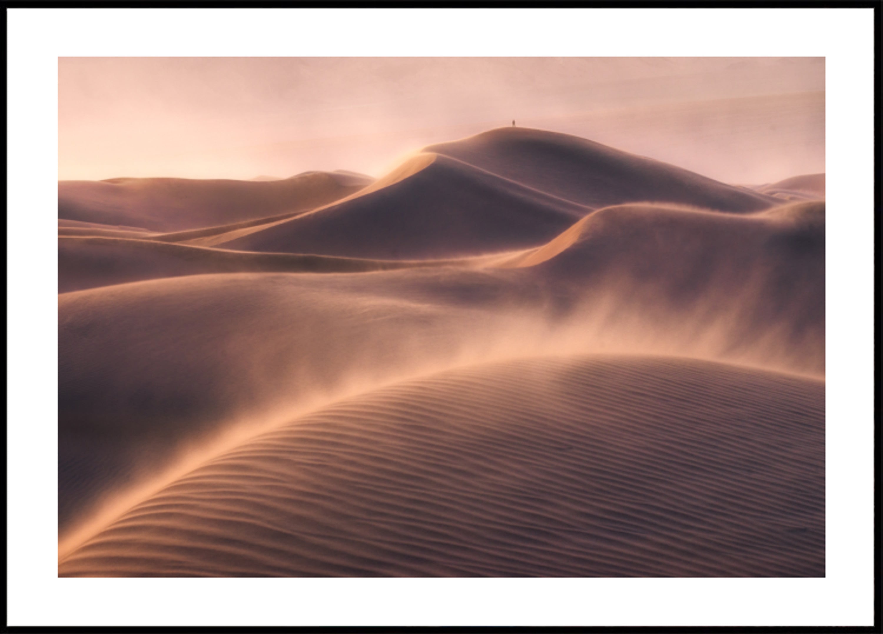 Golden Desert Solitude