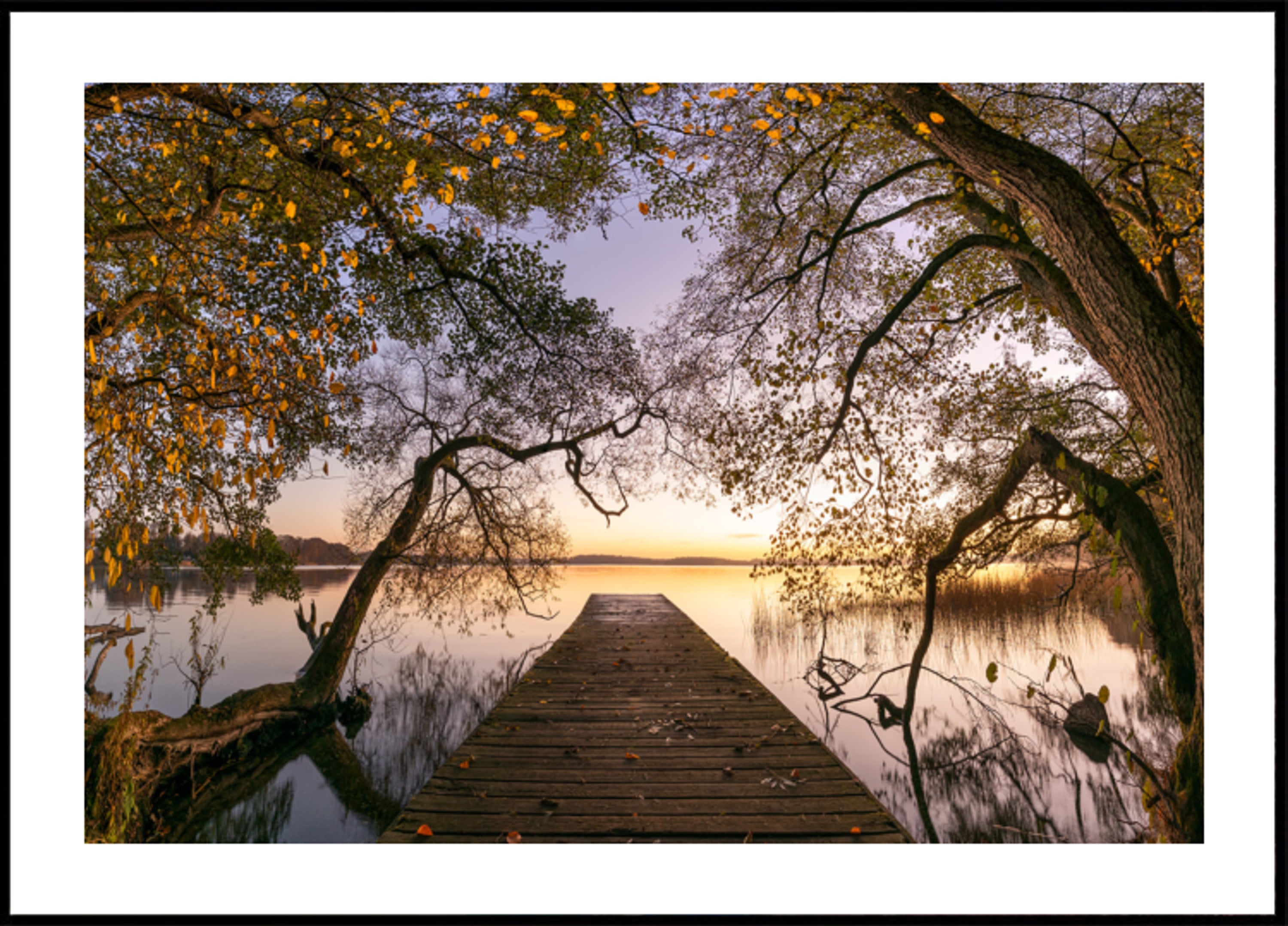 Golden Autumn Pier