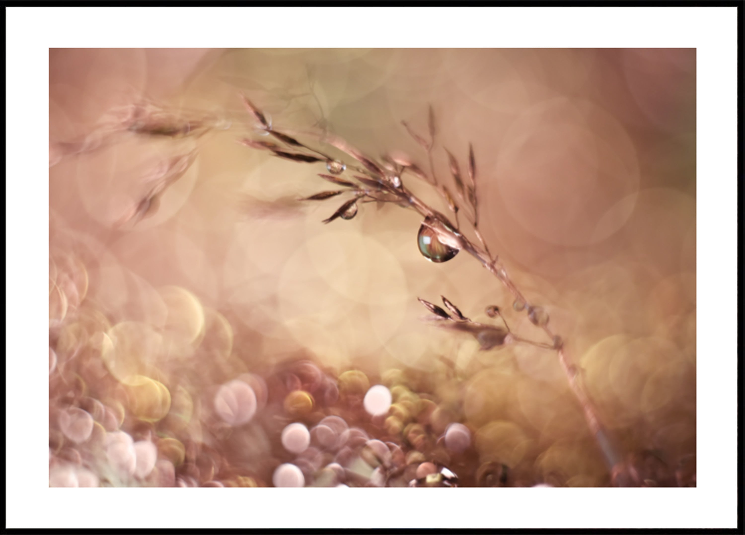 Ethereal Water Droplets