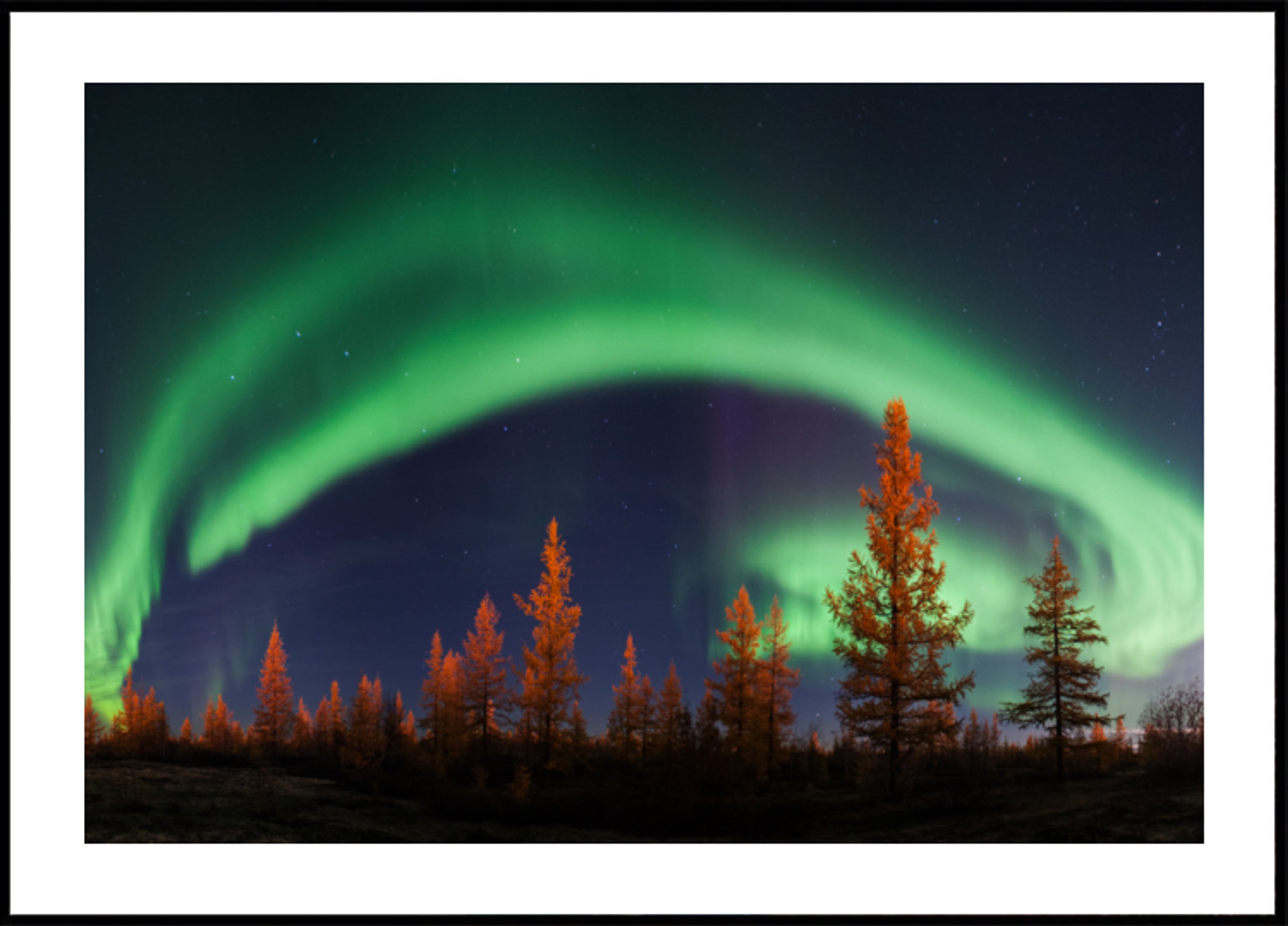 Vibrant Aurora Night Sky